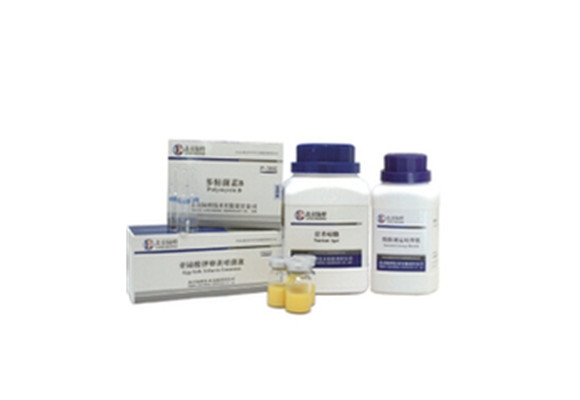 乳糖蛋白胨培养液 CM122